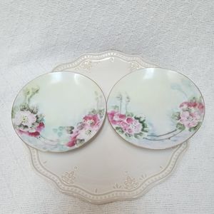 Set of Two Thomas Porcelain Floral Plates